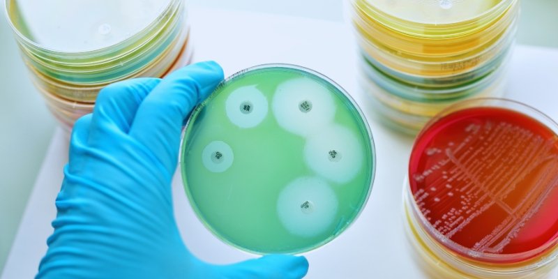 Establishing an Antimicrobial Business in Singapore: A Guide for Aspiring Entrepreneurs