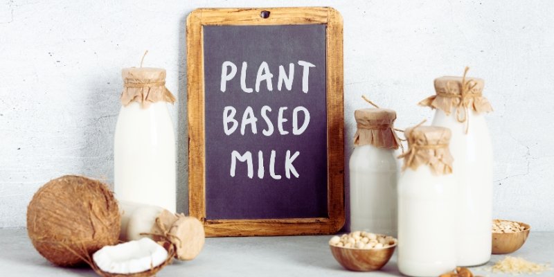 Reasons to Start a Plant-Based Food Production Business