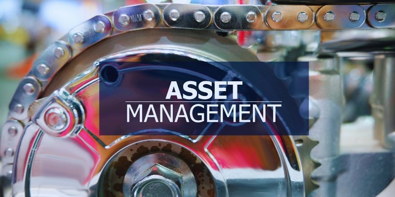 Establishing a Digital Asset Management Business in Singapore: A Guide for Aspiring Entrepreneurs