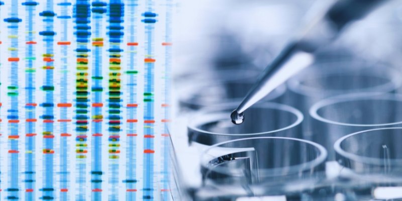 Establishing a Genetic Testing Laboratory Business in Singapore: A Guide for Aspiring Entrepreneurs
