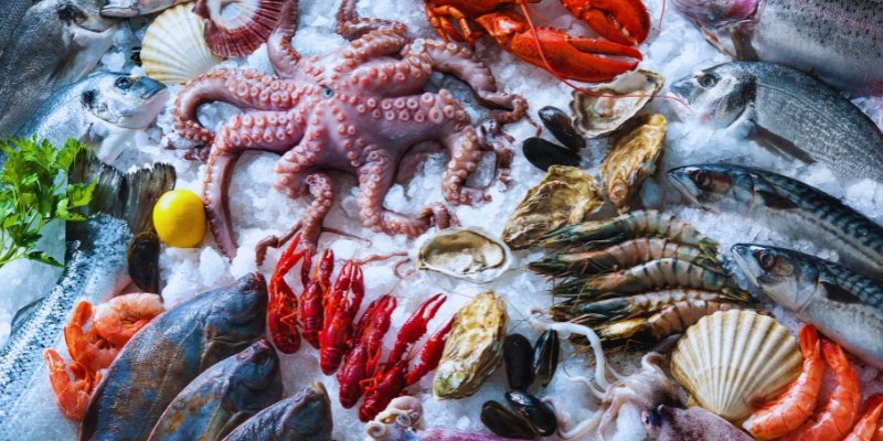 Establishing a Sustainable Seafood Distribution Business in Singapore: A Guide for Aspiring Entrepreneurs