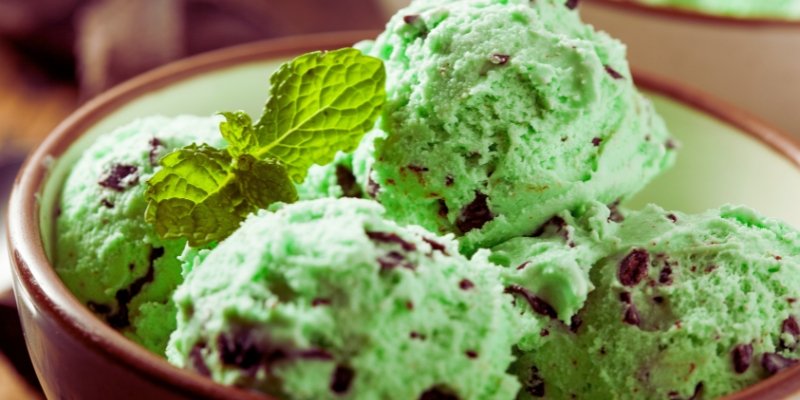 Reasons to Start a Gourmet Ice Cream Shop Business