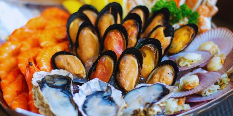 Reasons to Start a Sustainable Seafood Distribution Business